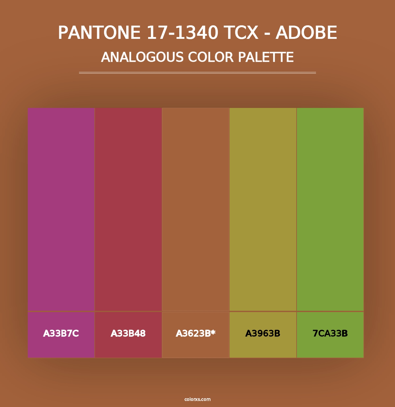 PANTONE 17-1340 TCX - Adobe - Analogous Color Palette