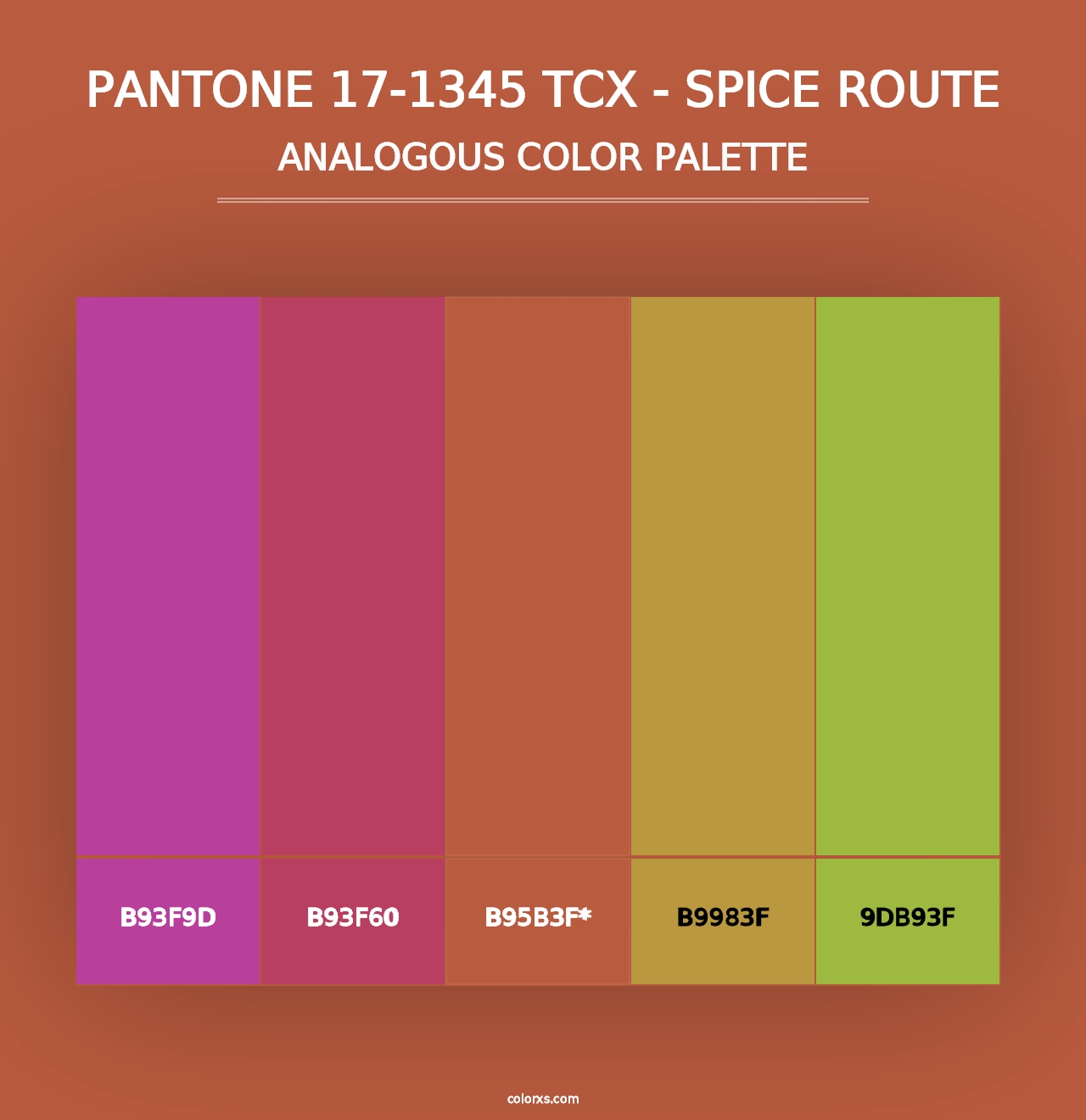 PANTONE 17-1345 TCX - Spice Route - Analogous Color Palette