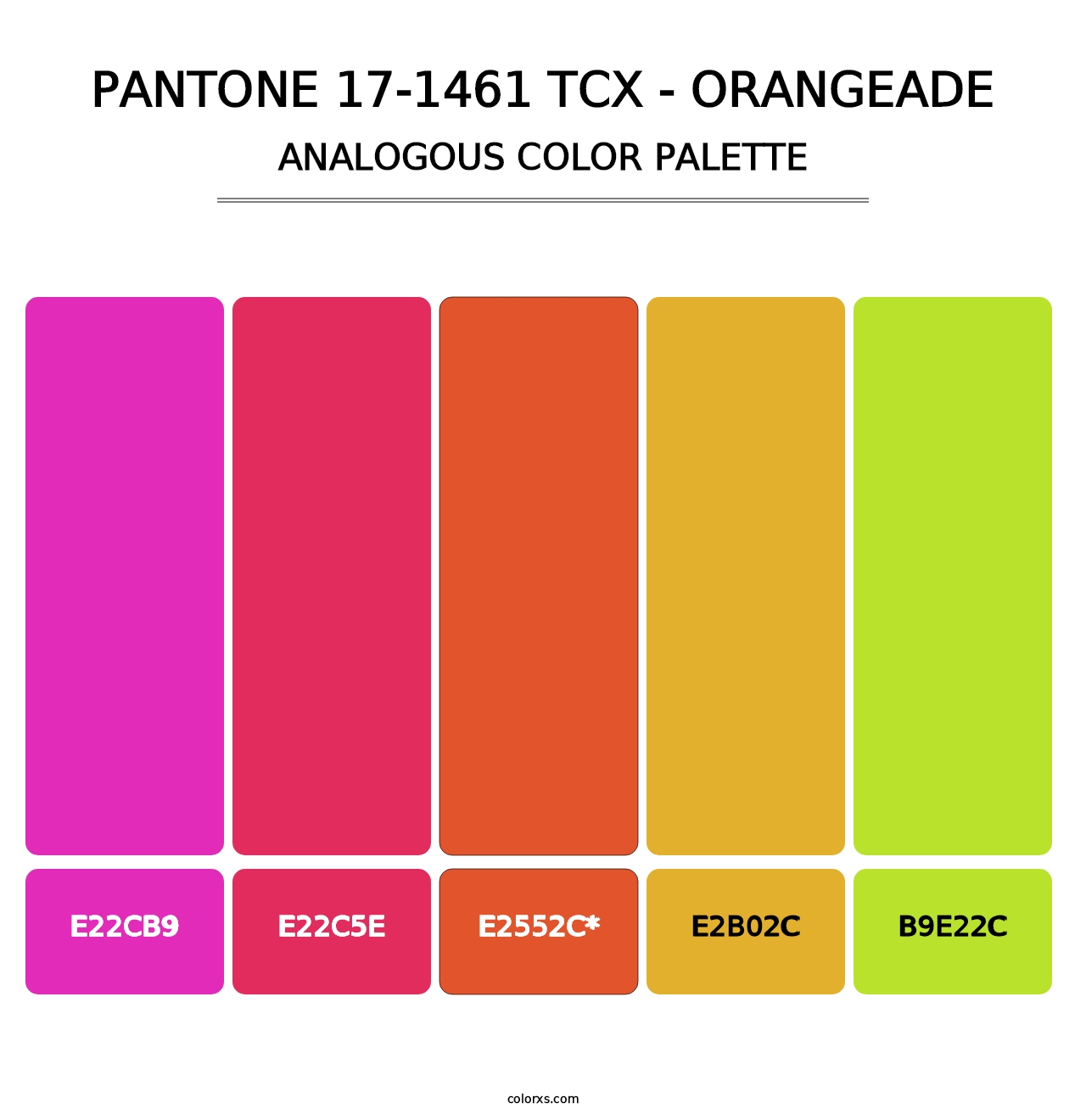 PANTONE 17-1461 TCX - Orangeade - Analogous Color Palette