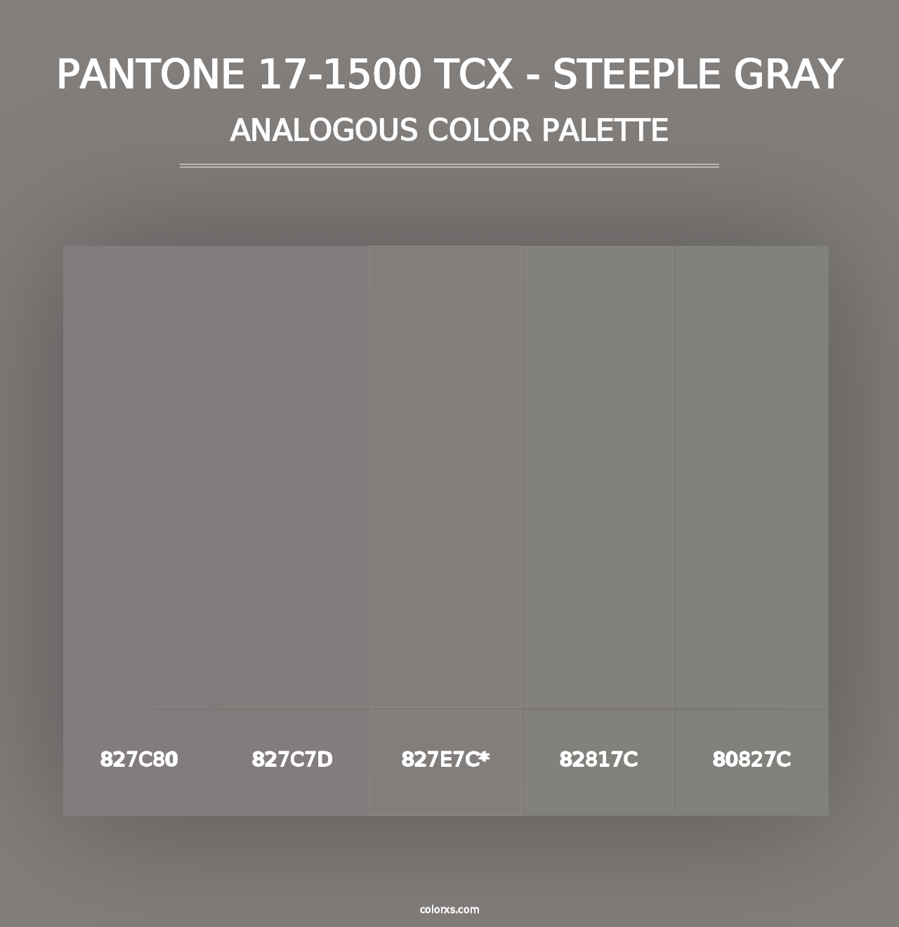 PANTONE 17-1500 TCX - Steeple Gray - Analogous Color Palette