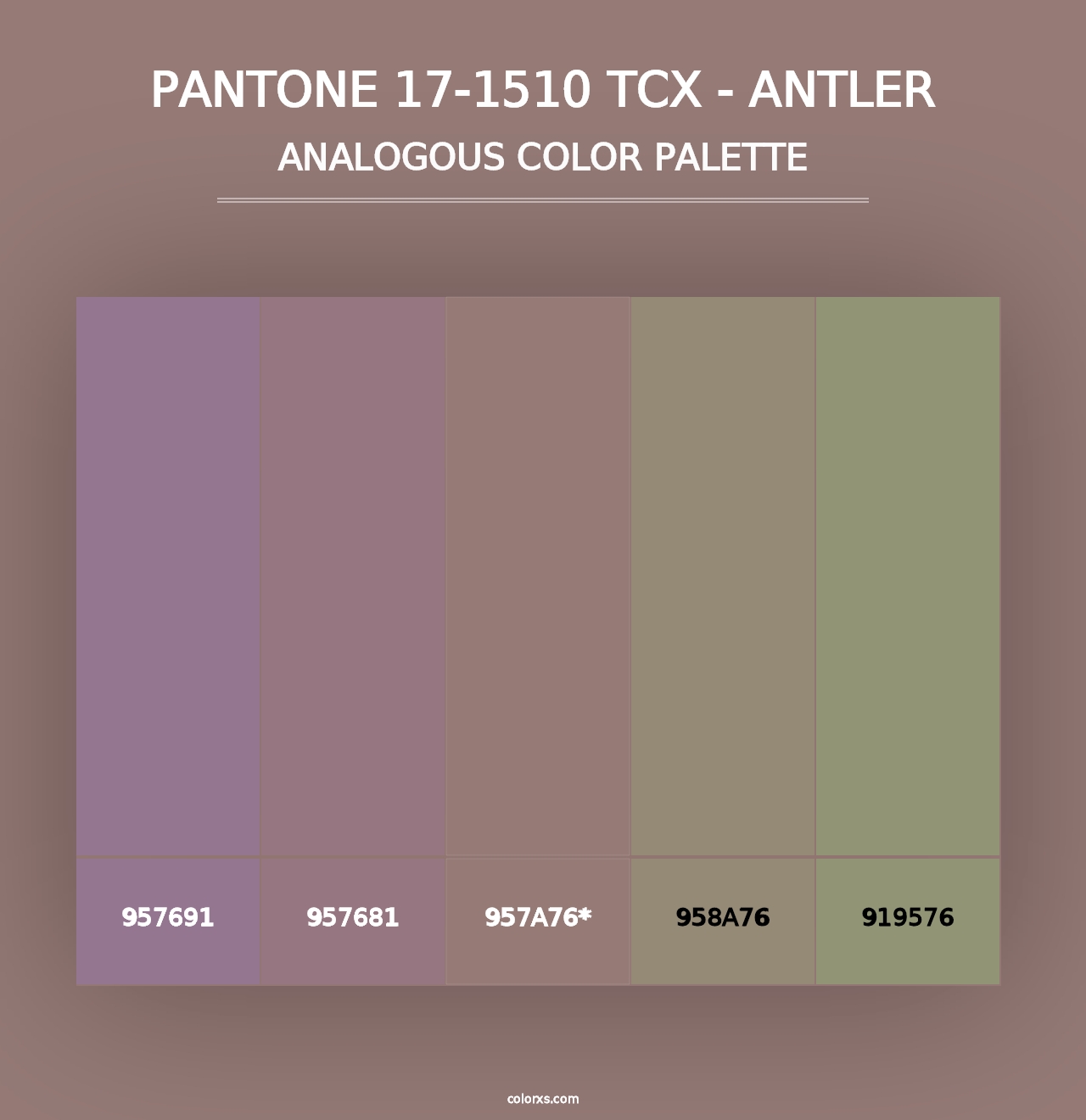 PANTONE 17-1510 TCX - Antler - Analogous Color Palette