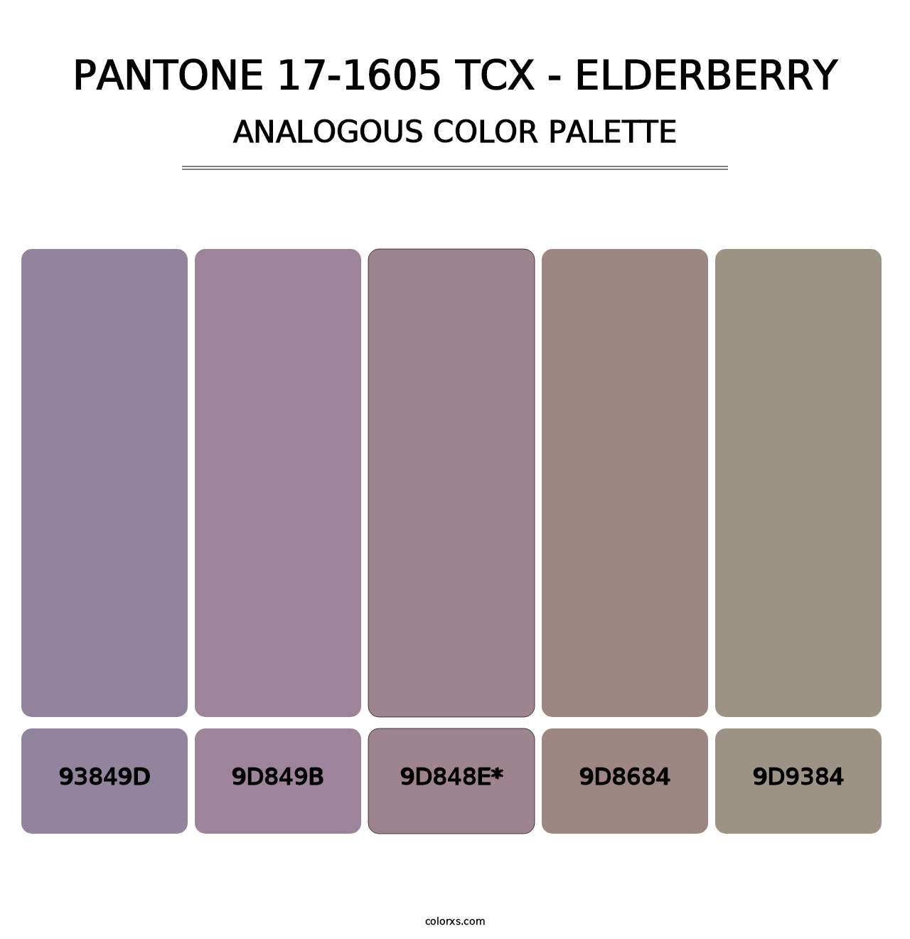 PANTONE 17-1605 TCX - Elderberry - Analogous Color Palette