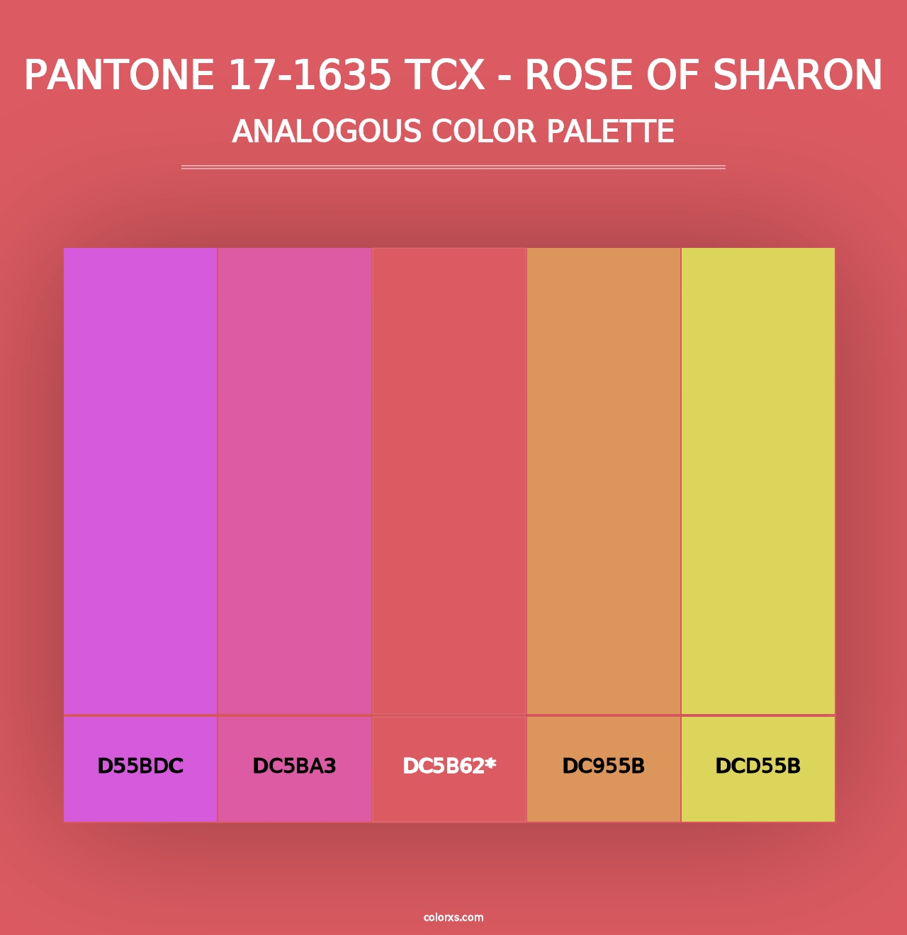 PANTONE 17-1635 TCX - Rose of Sharon - Analogous Color Palette