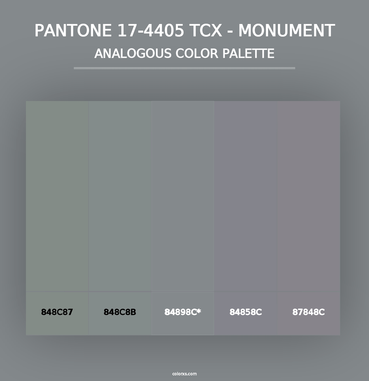 PANTONE 17-4405 TCX - Monument - Analogous Color Palette