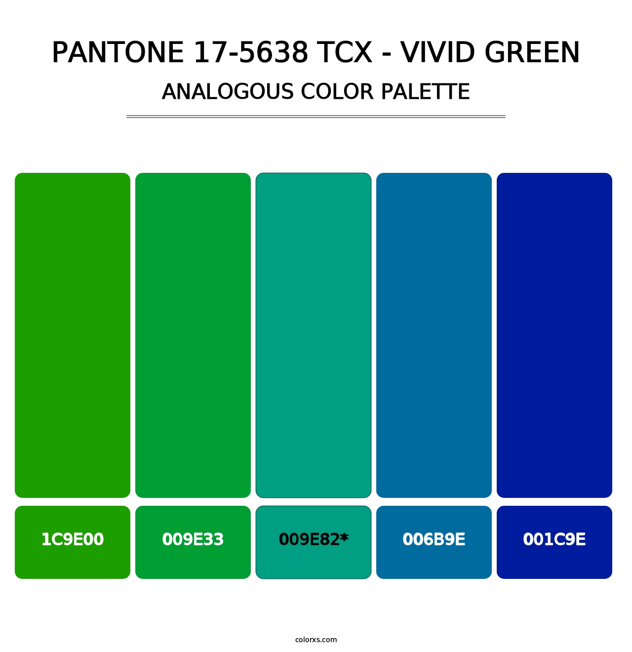 PANTONE 17-5638 TCX - Vivid Green - Analogous Color Palette