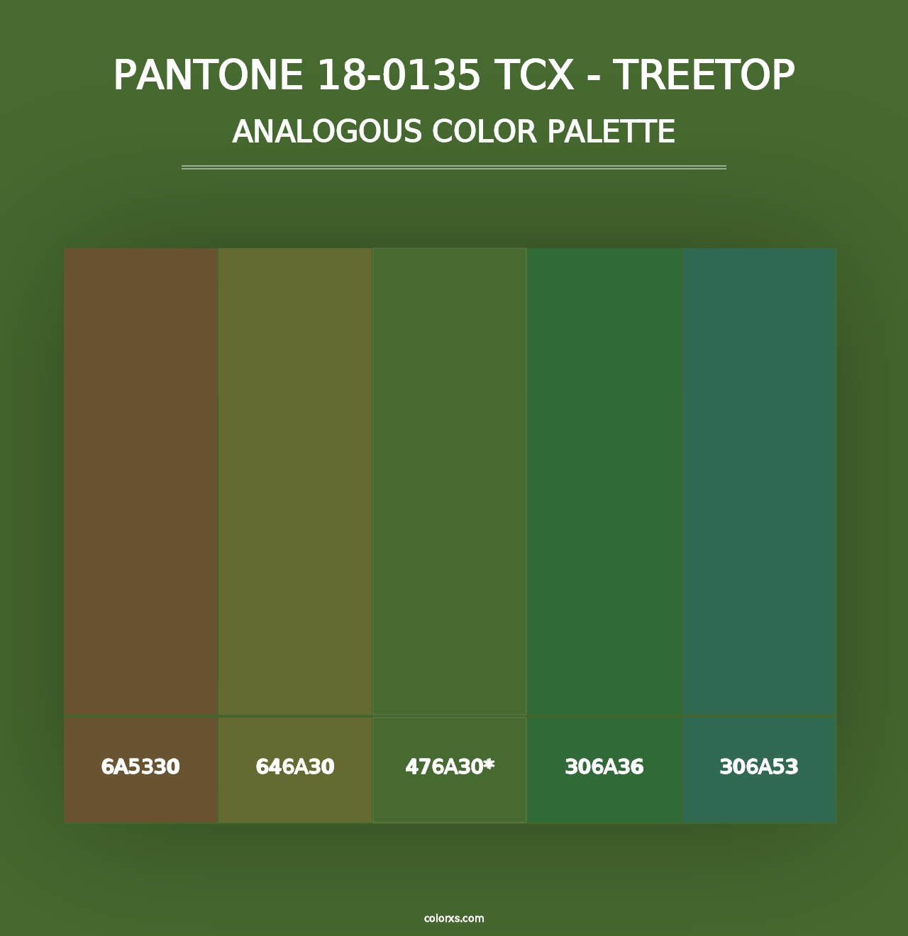 PANTONE 18-0135 TCX - Treetop - Analogous Color Palette