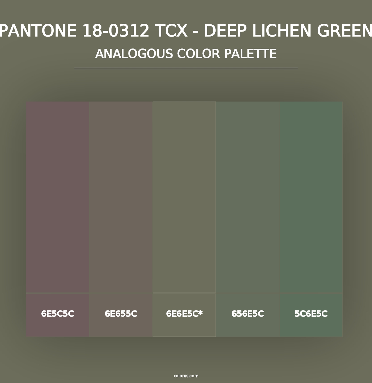 PANTONE 18-0312 TCX - Deep Lichen Green - Analogous Color Palette