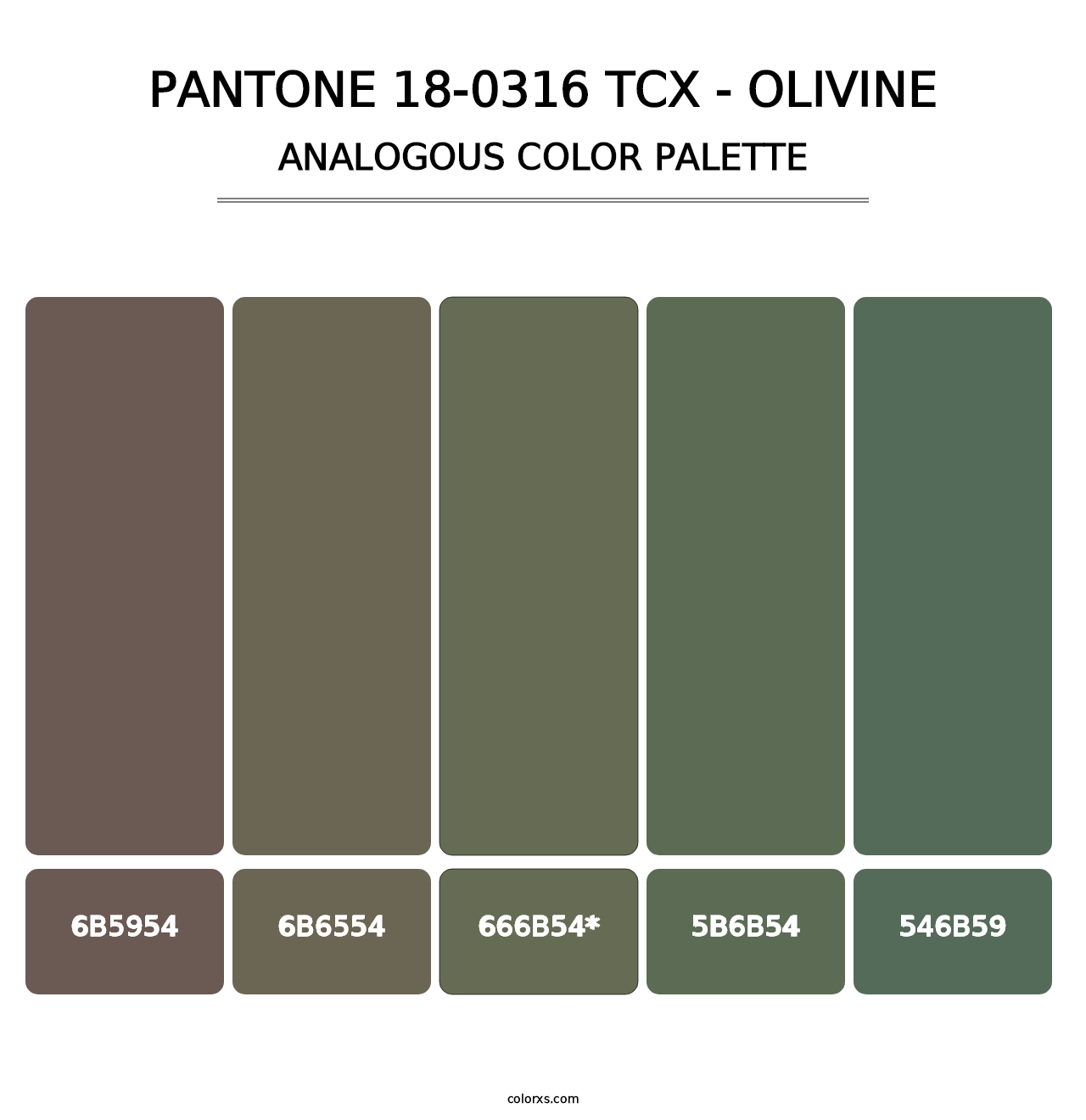 PANTONE 18-0316 TCX - Olivine - Analogous Color Palette