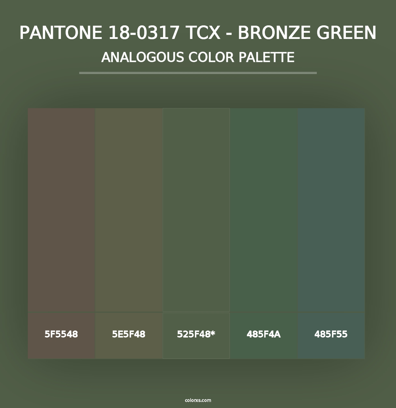 PANTONE 18-0317 TCX - Bronze Green - Analogous Color Palette