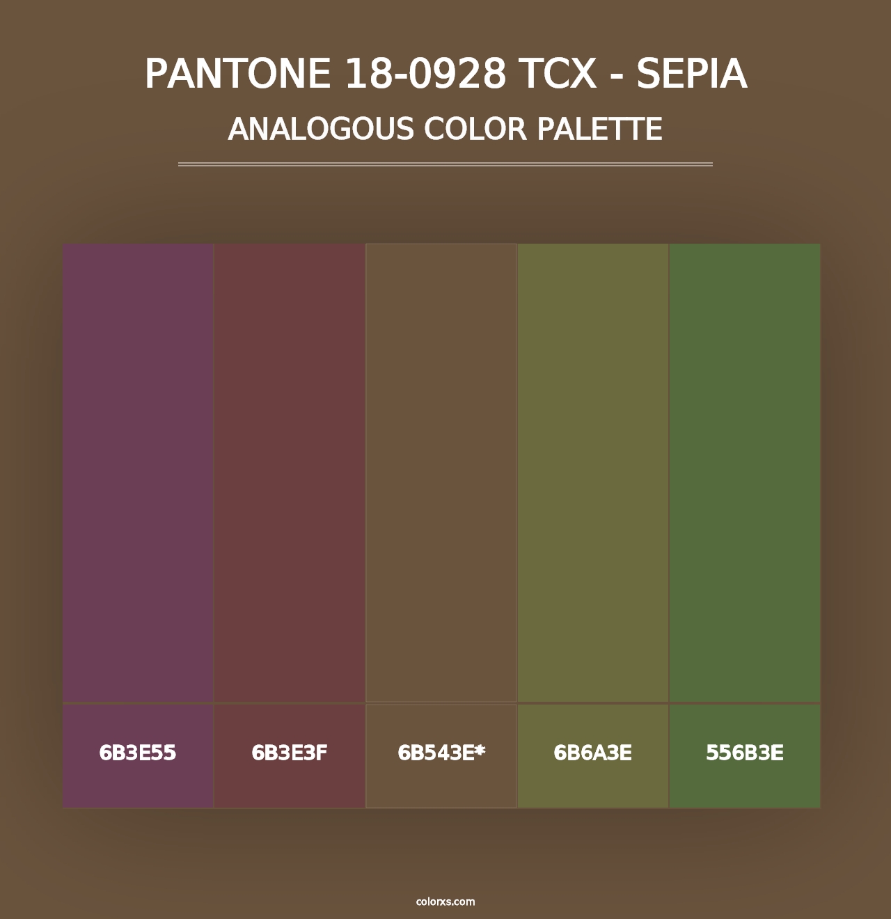 PANTONE 18-0928 TCX - Sepia color palettes - colorxs.com