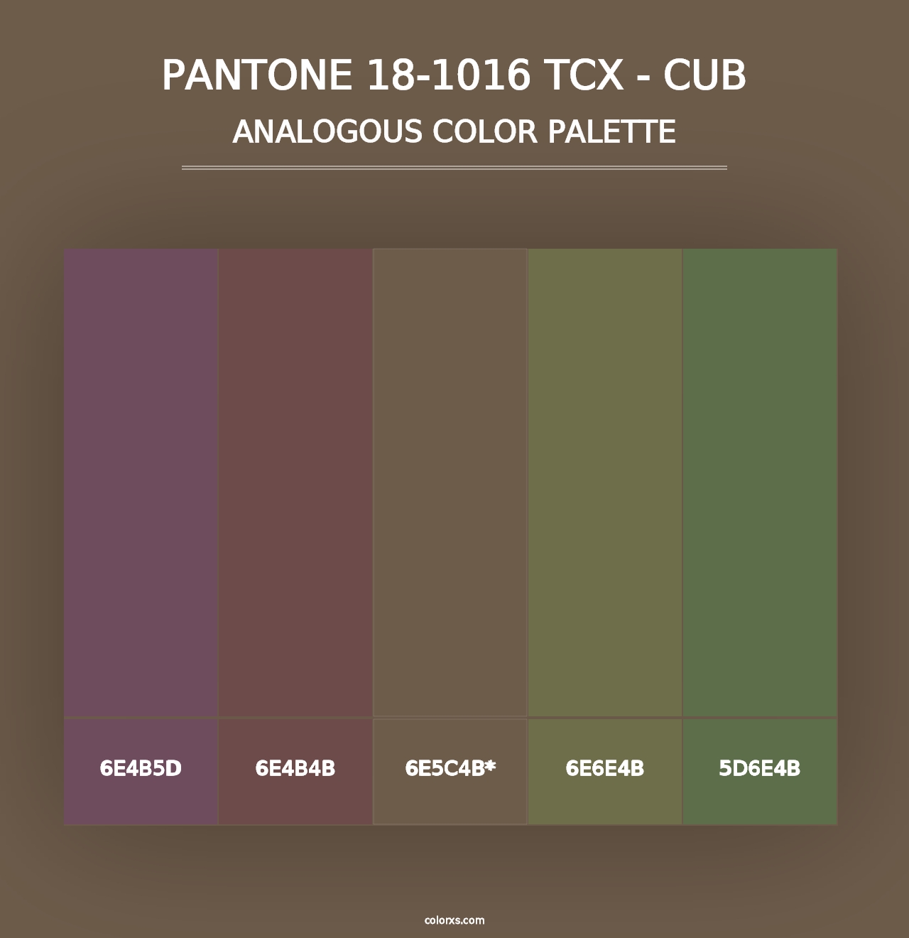 PANTONE 18-1016 TCX - Cub - Analogous Color Palette