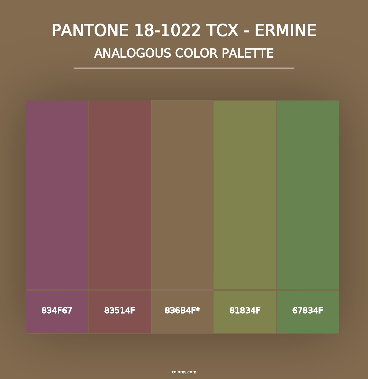 PANTONE 18-1022 TCX - Ermine - Analogous Color Palette