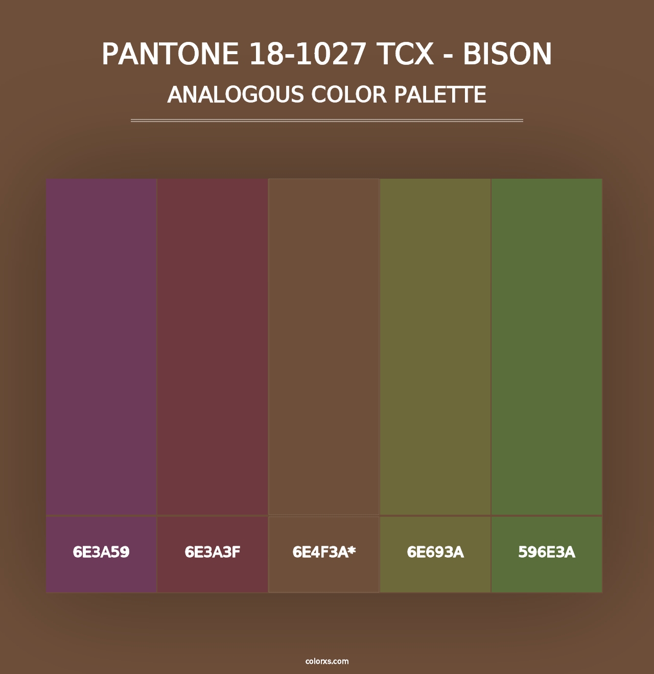 PANTONE 18-1027 TCX - Bison - Analogous Color Palette