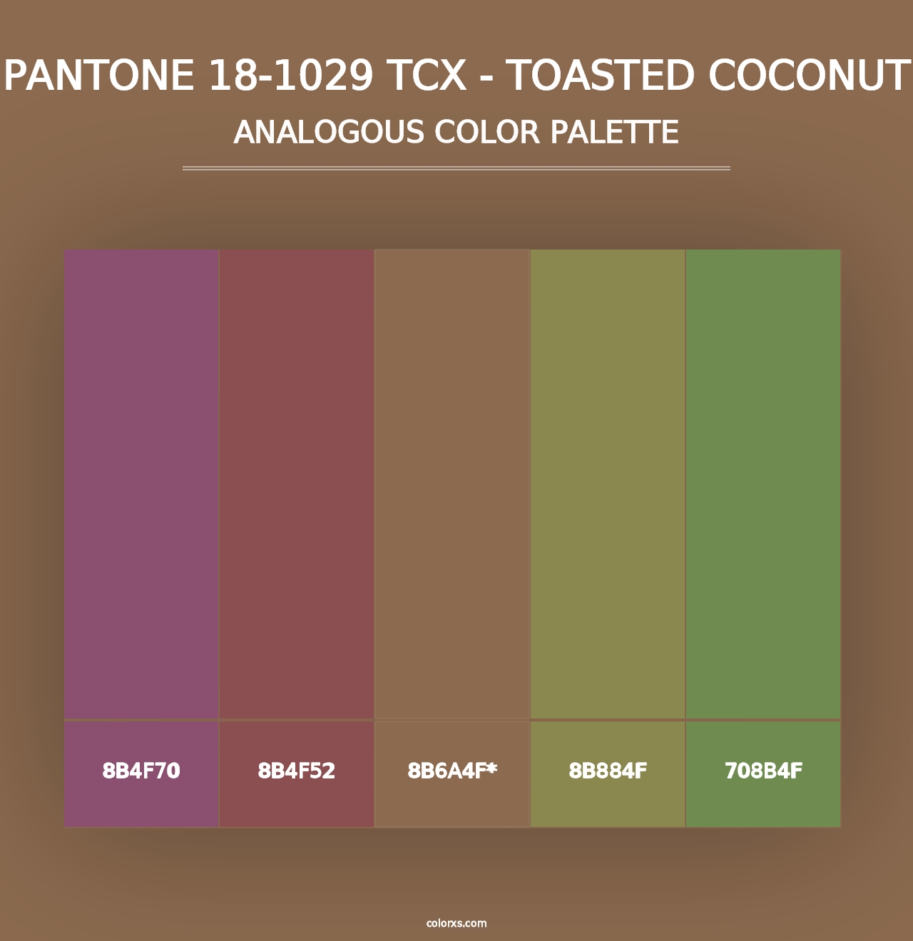 PANTONE 18-1029 TCX - Toasted Coconut - Analogous Color Palette