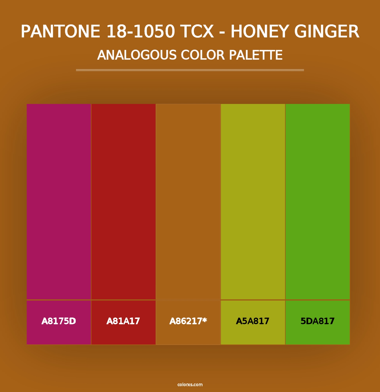 PANTONE 18-1050 TCX - Honey Ginger - Analogous Color Palette