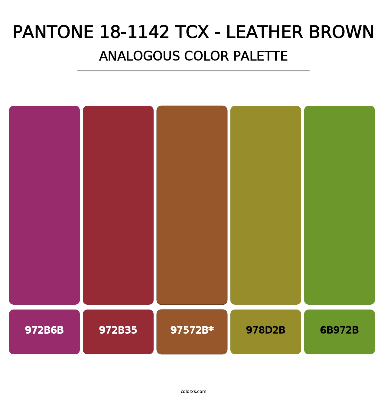 PANTONE 18-1142 TCX - Leather Brown - Analogous Color Palette