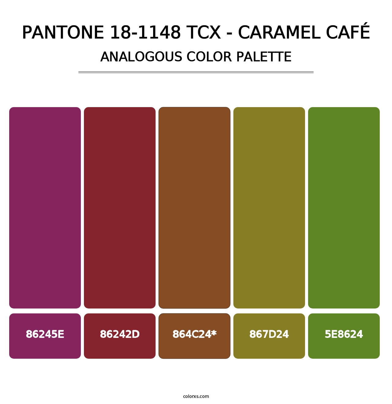 PANTONE 18-1148 TCX - Caramel Café - Analogous Color Palette