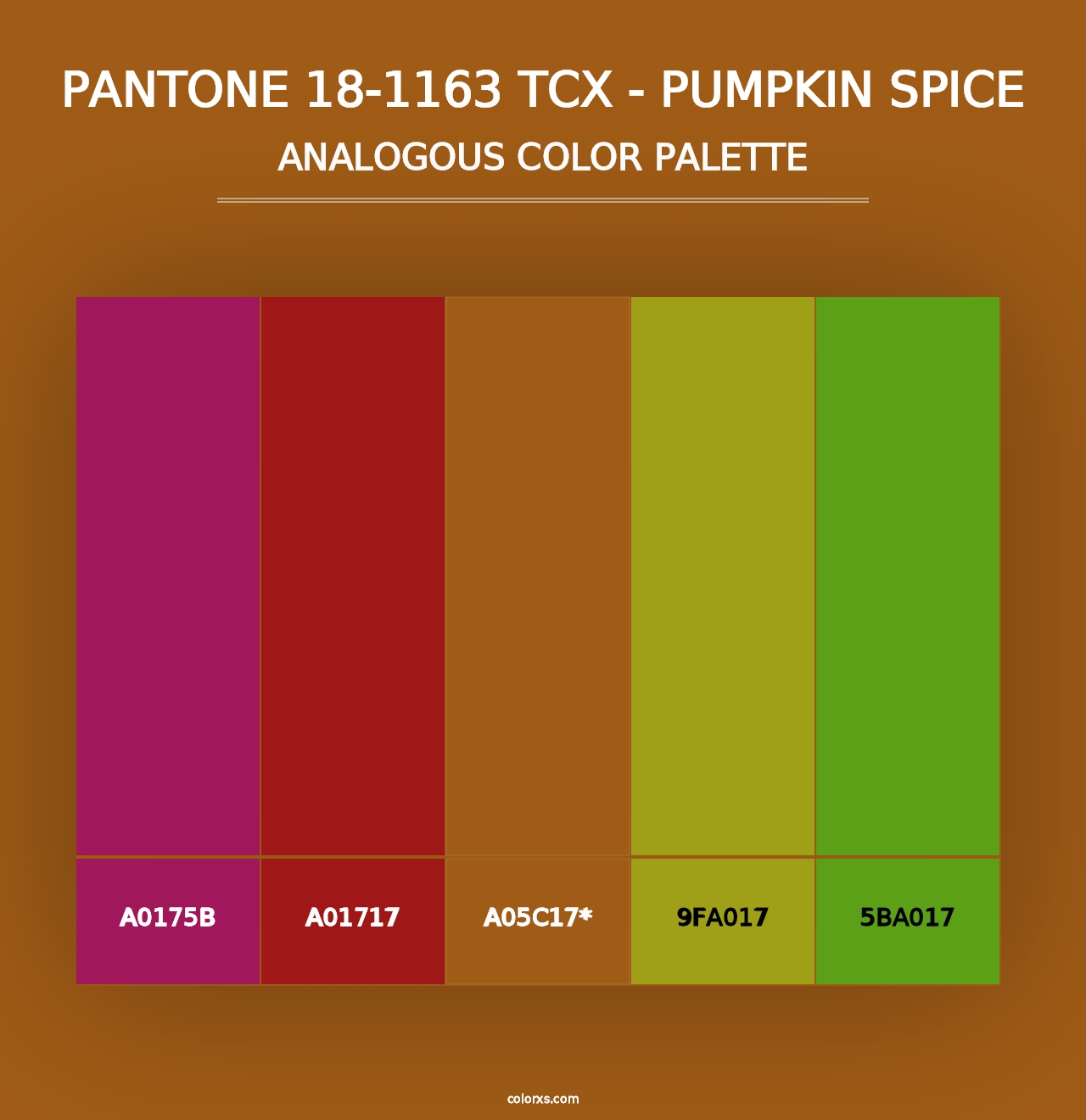 PANTONE 18-1163 TCX - Pumpkin Spice - Analogous Color Palette