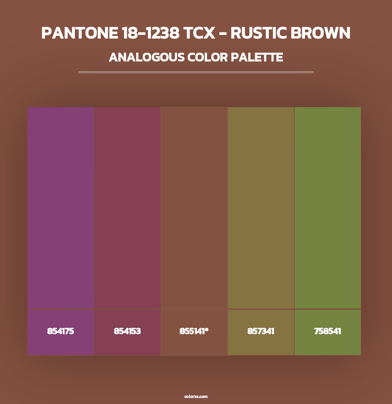 PANTONE 18-1238 TCX - Rustic Brown - Analogous Color Palette