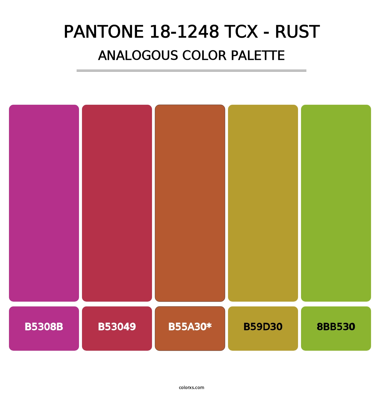 PANTONE 18-1248 TCX - Rust - Analogous Color Palette