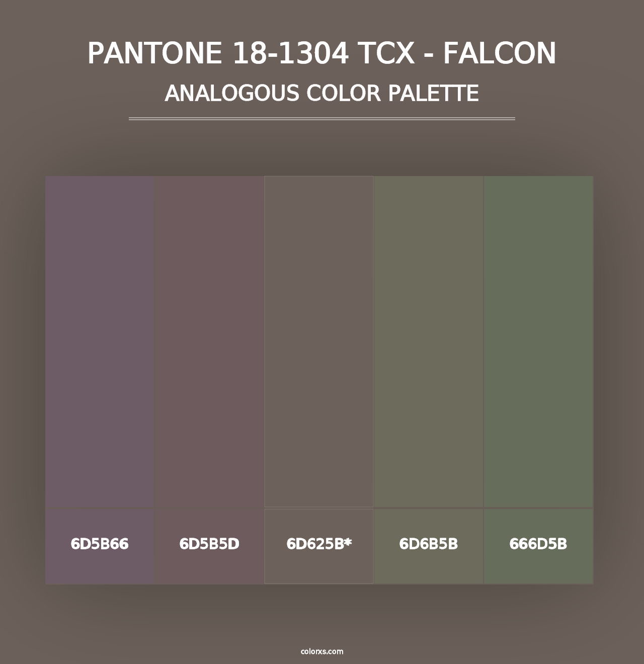 PANTONE 18-1304 TCX - Falcon - Analogous Color Palette