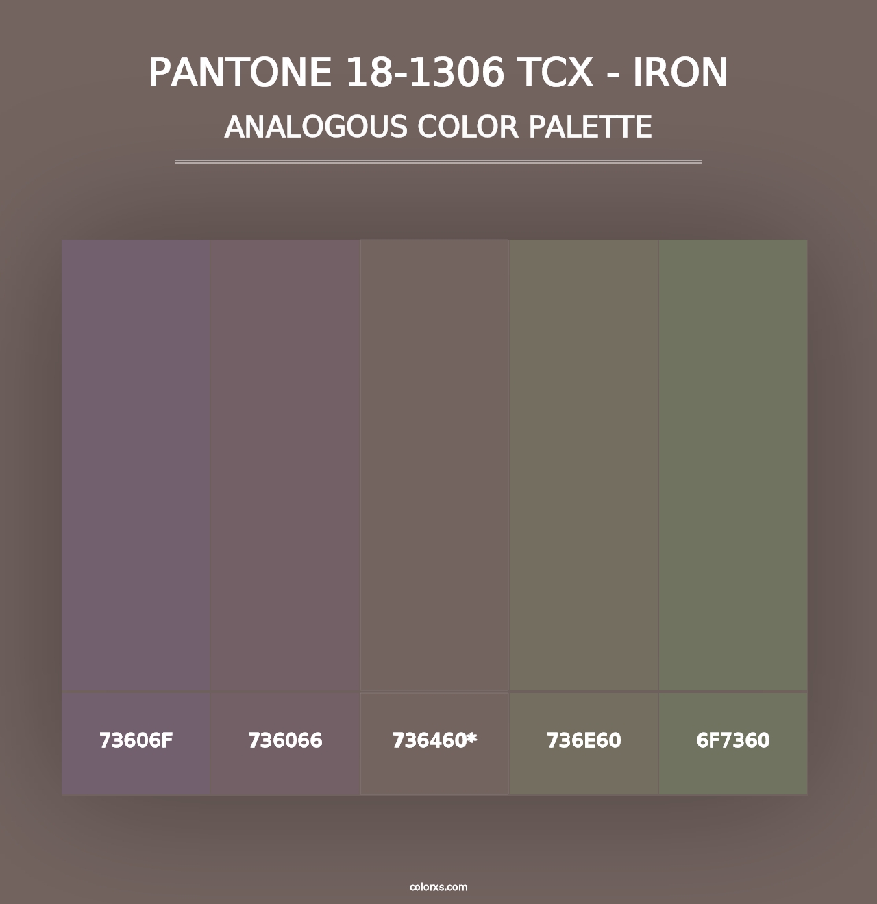 PANTONE 18-1306 TCX - Iron - Analogous Color Palette