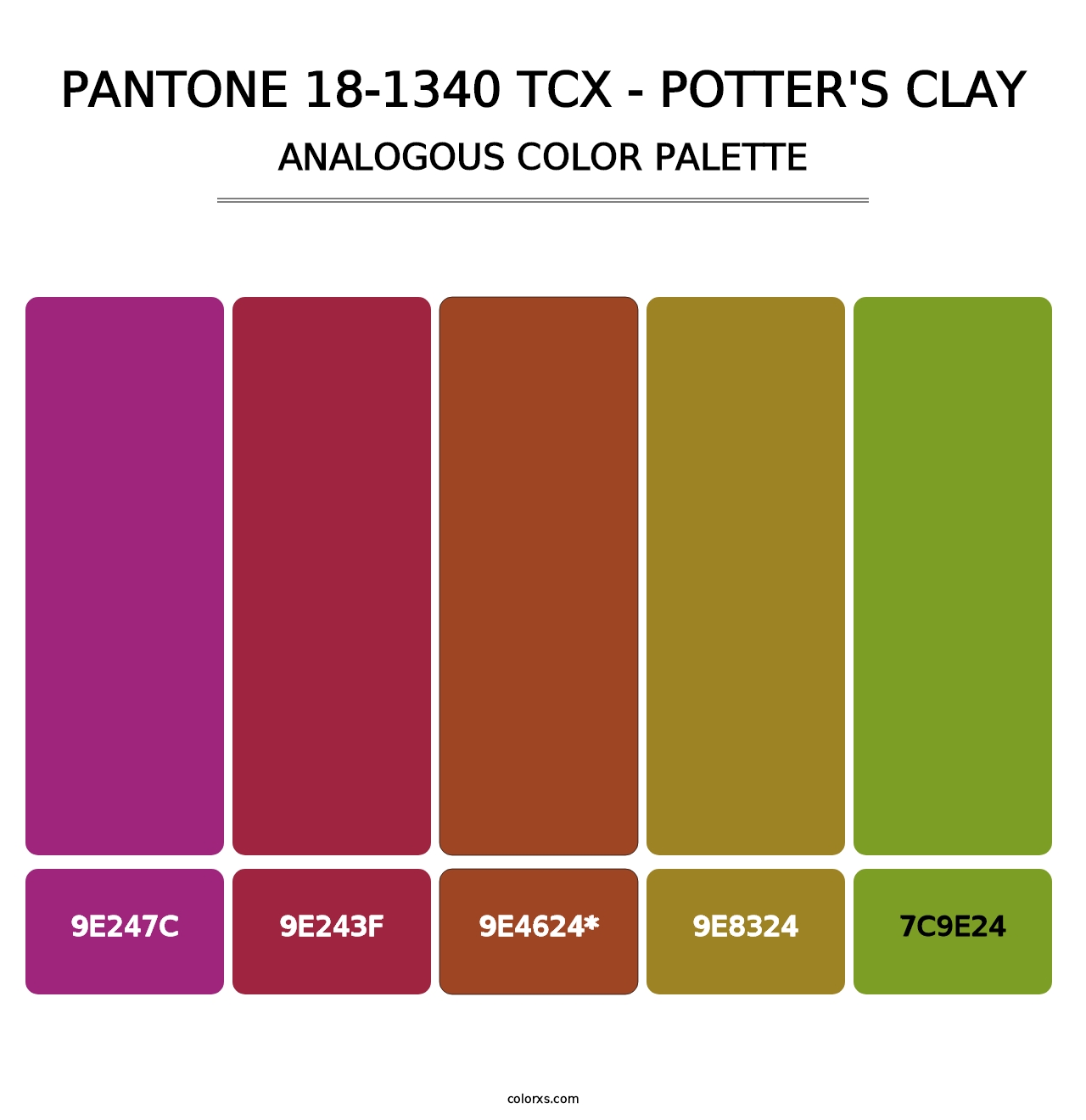 PANTONE 18-1340 TCX - Potter's Clay - Analogous Color Palette