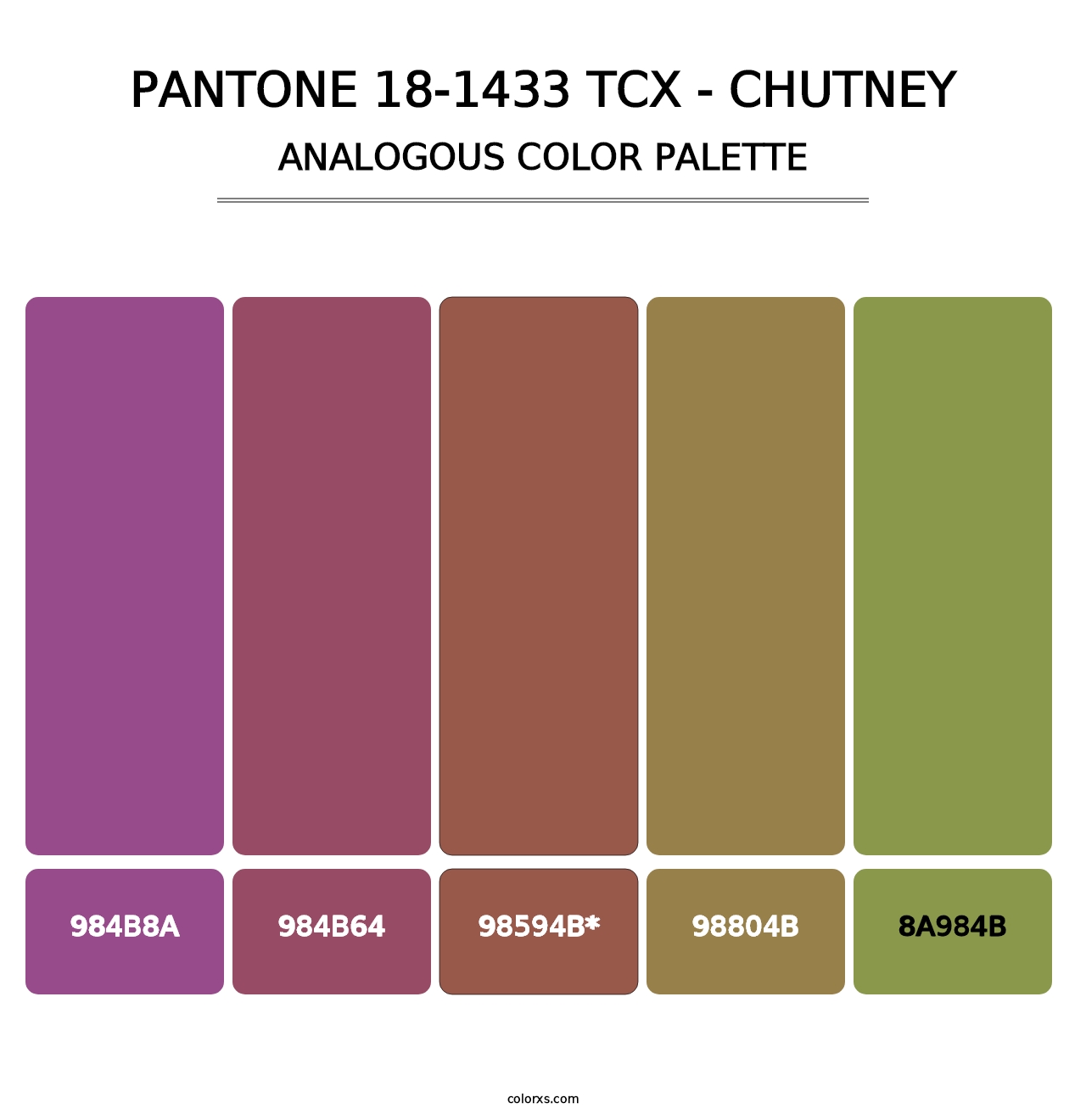 PANTONE 18-1433 TCX - Chutney - Analogous Color Palette