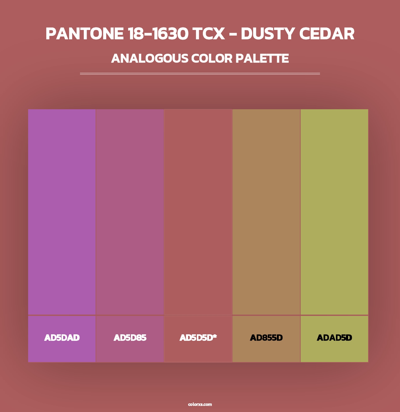 PANTONE 18-1630 TCX - Dusty Cedar - Analogous Color Palette