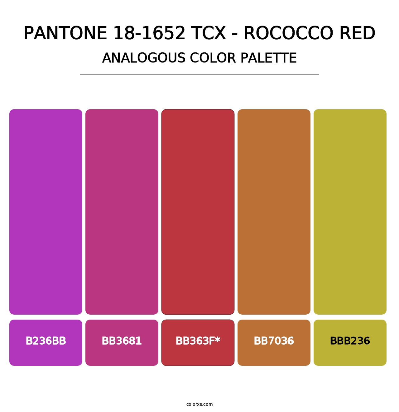 PANTONE 18-1652 TCX - Rococco Red - Analogous Color Palette