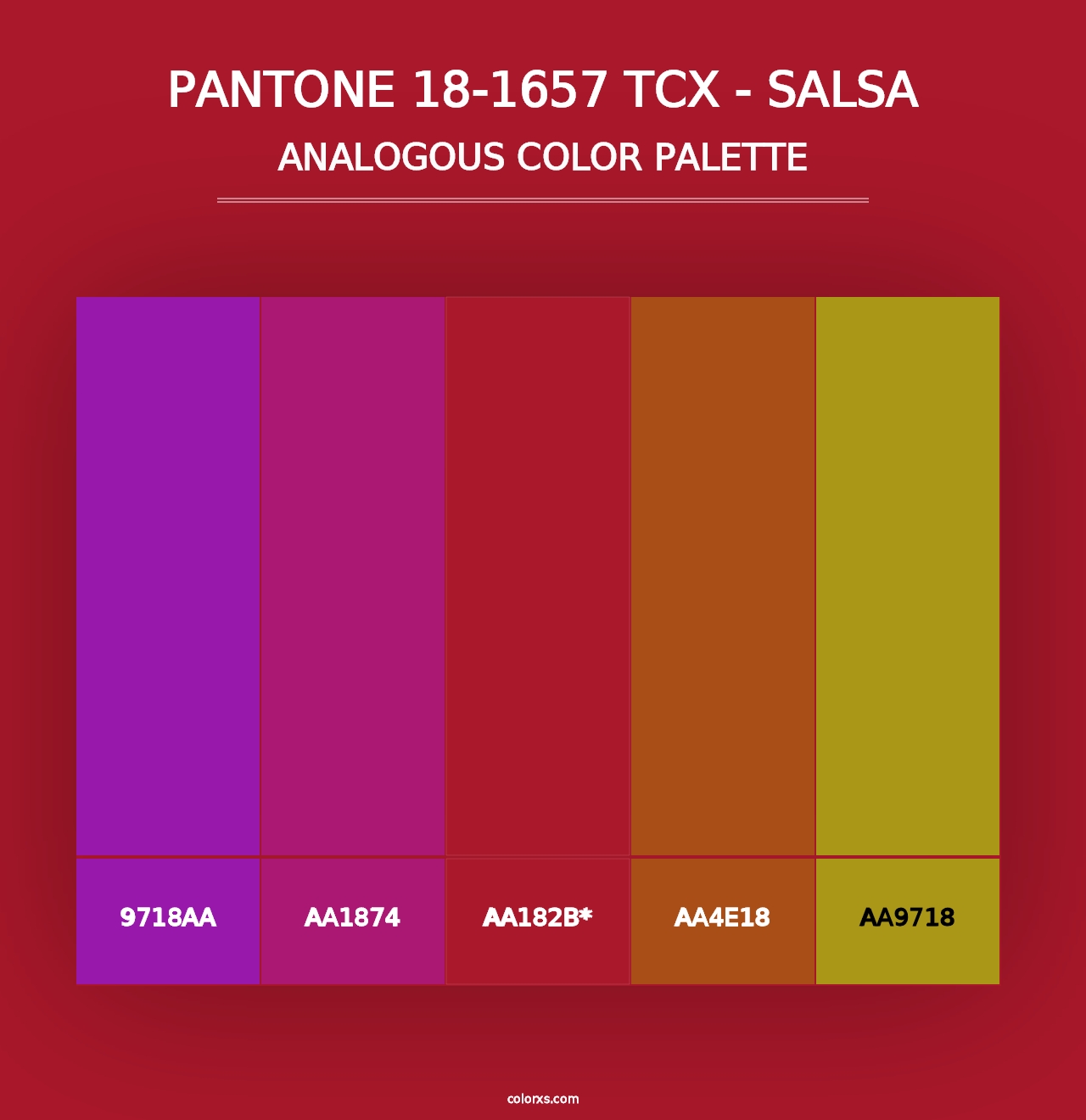 PANTONE 18-1657 TCX - Salsa color palettes - colorxs.com