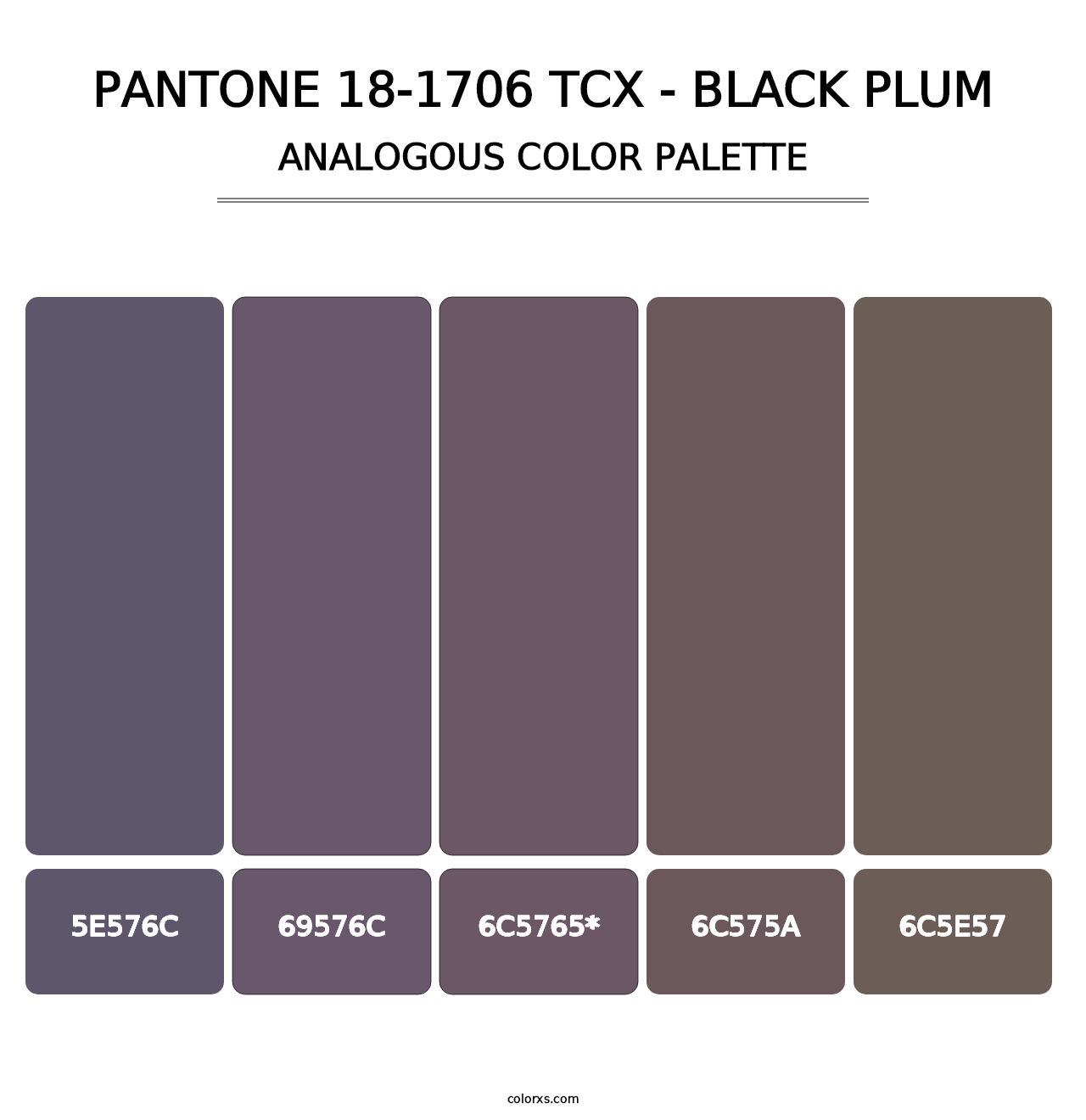 PANTONE 18-1706 TCX - Black Plum - Analogous Color Palette