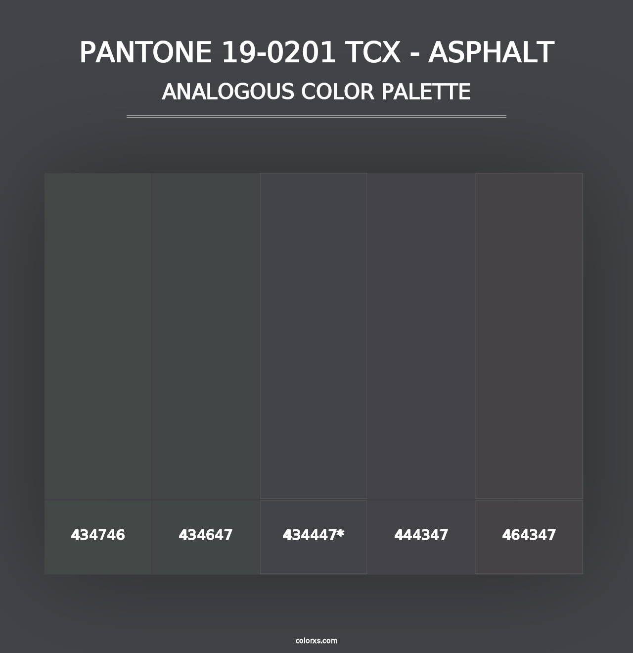 PANTONE 19-0201 TCX - Asphalt - Analogous Color Palette