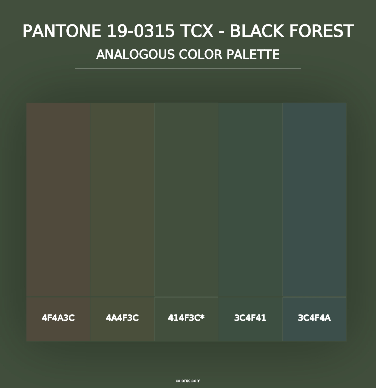 PANTONE 19-0315 TCX - Black Forest - Analogous Color Palette