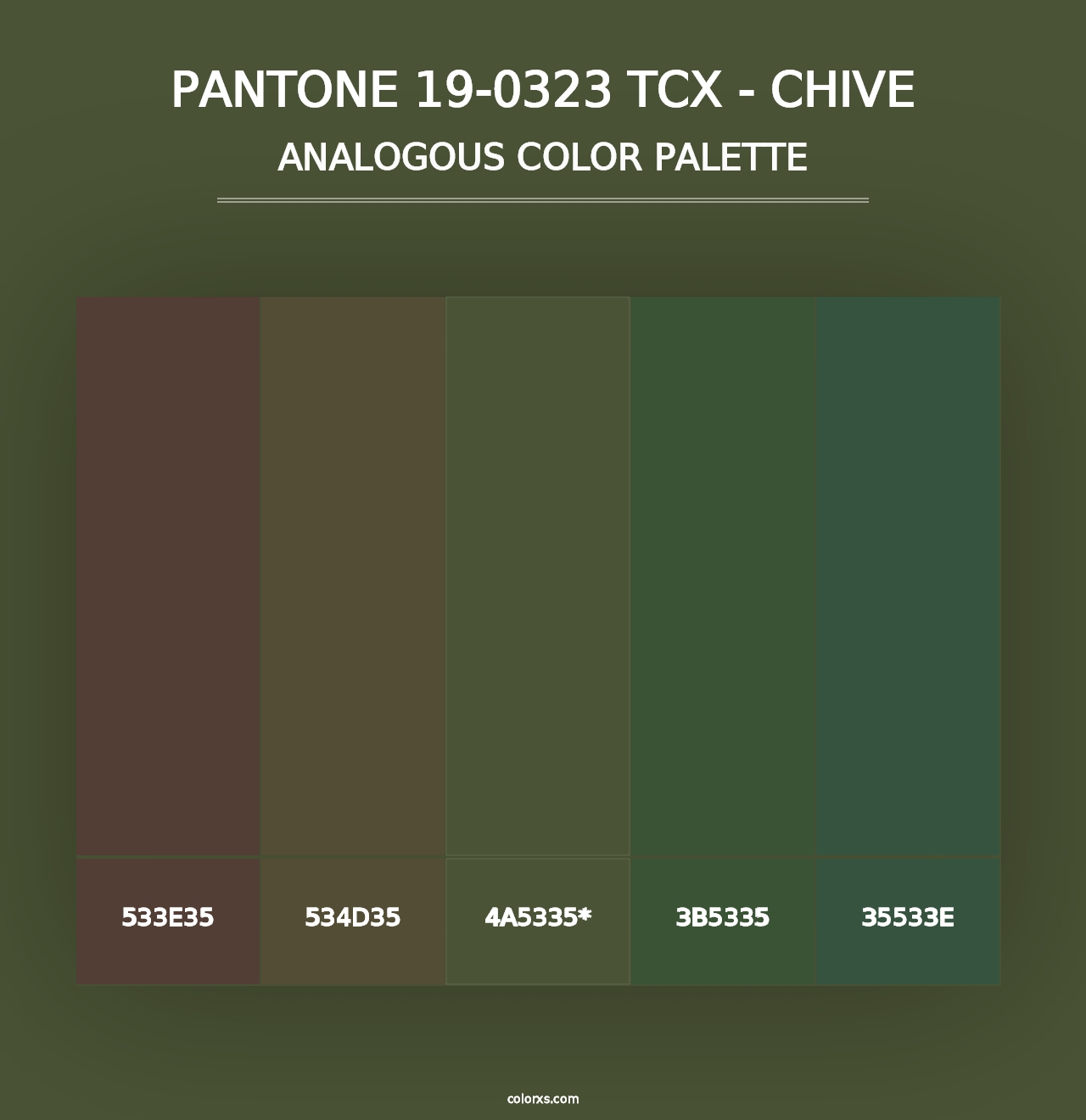 PANTONE 19-0323 TCX - Chive - Analogous Color Palette