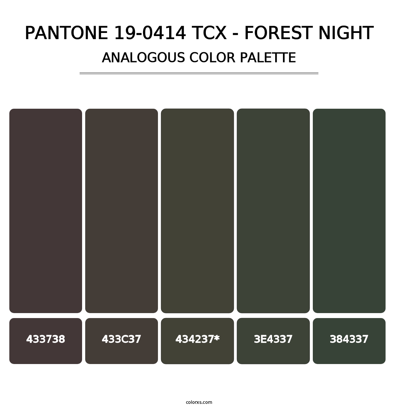 PANTONE 19-0414 TCX - Forest Night - Analogous Color Palette