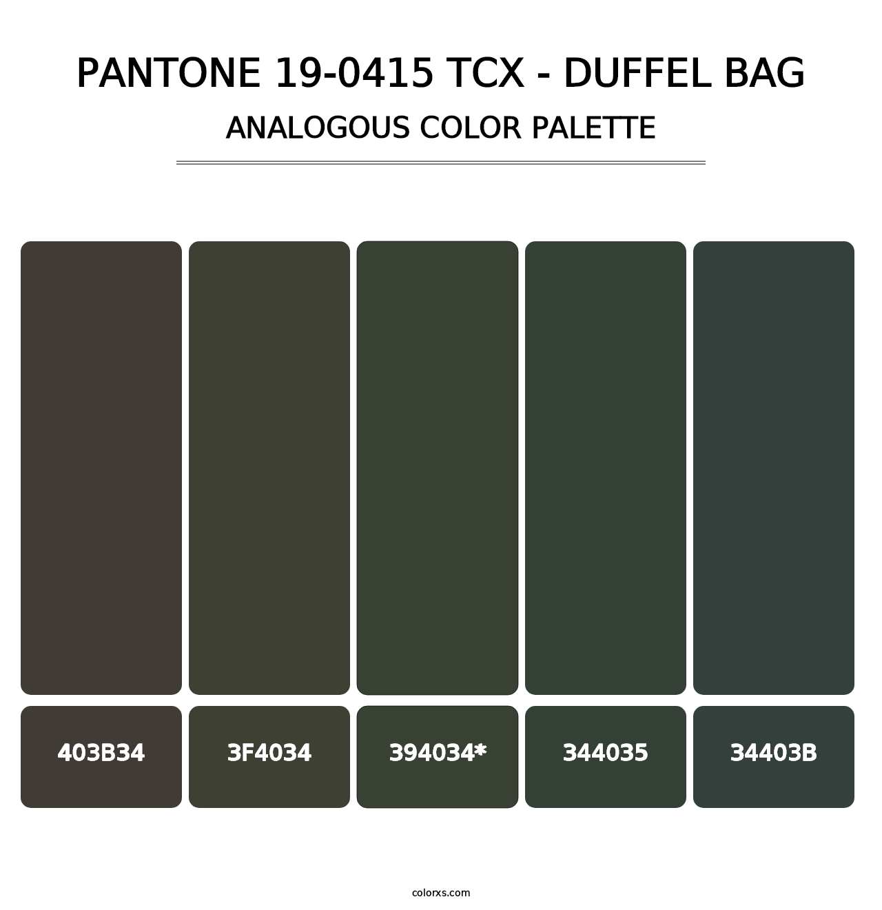 PANTONE 19-0415 TCX - Duffel Bag - Analogous Color Palette