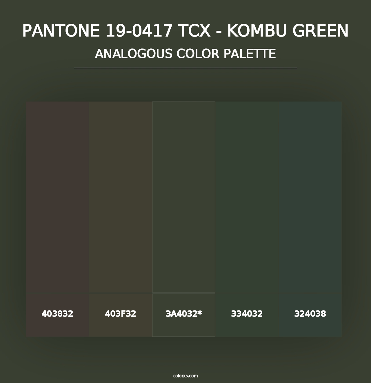 PANTONE 19-0417 TCX - Kombu Green - Analogous Color Palette