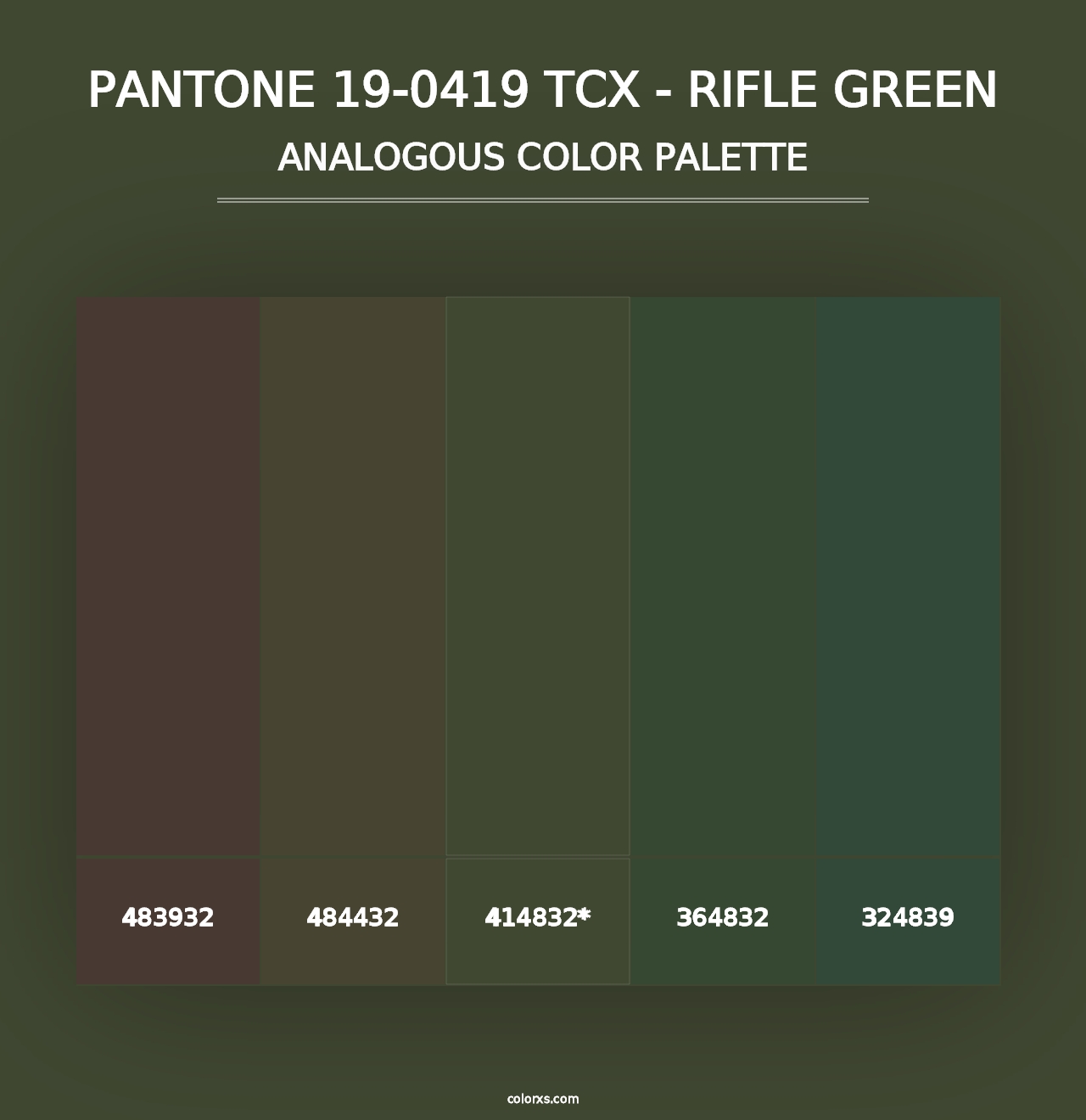 PANTONE 19-0419 TCX - Rifle Green - Analogous Color Palette