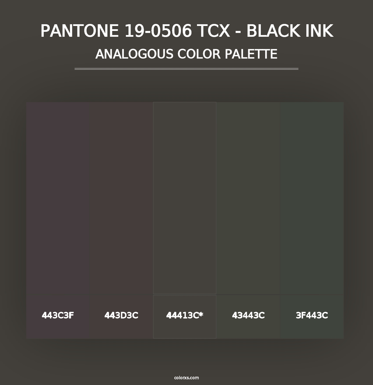 PANTONE 19-0506 TCX - Black Ink - Analogous Color Palette