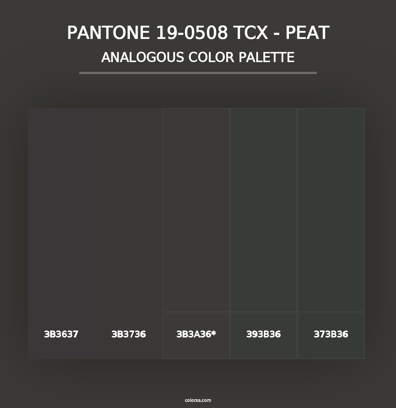 PANTONE 19-0508 TCX - Peat - Analogous Color Palette