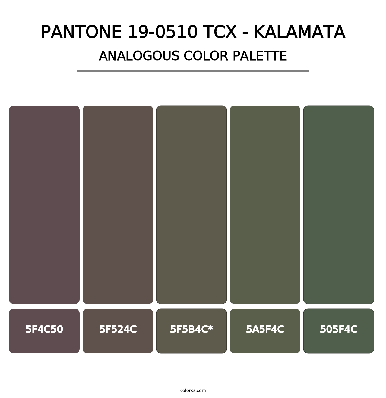 PANTONE 19-0510 TCX - Kalamata - Analogous Color Palette