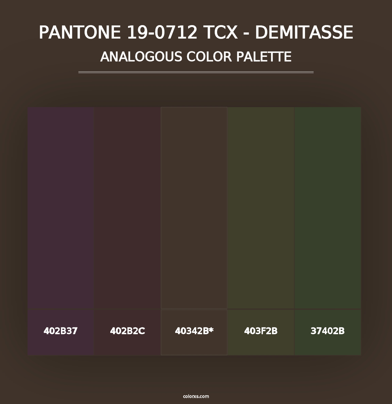 PANTONE 19-0712 TCX - Demitasse - Analogous Color Palette