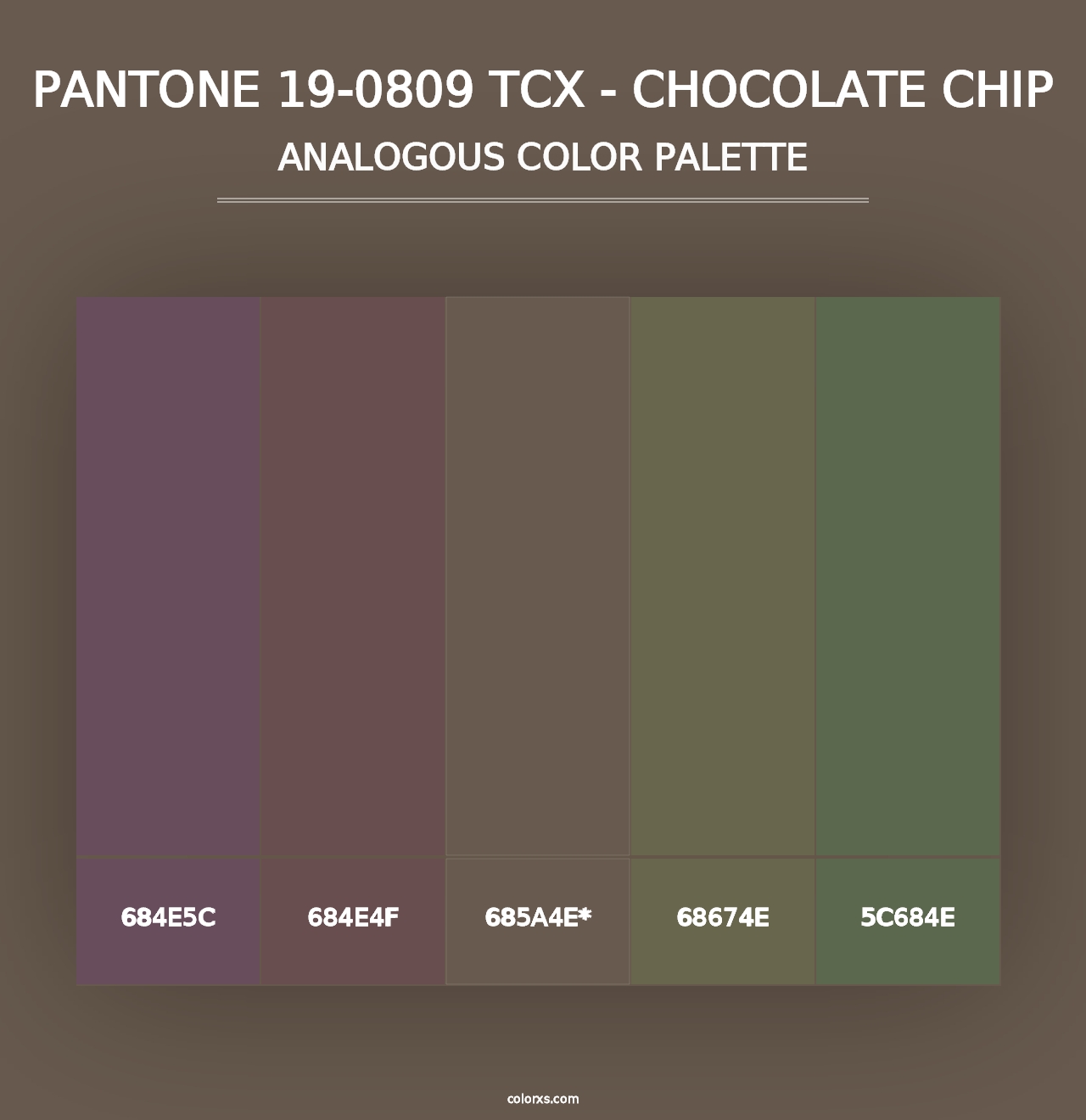 PANTONE 19-0809 TCX - Chocolate Chip - Analogous Color Palette