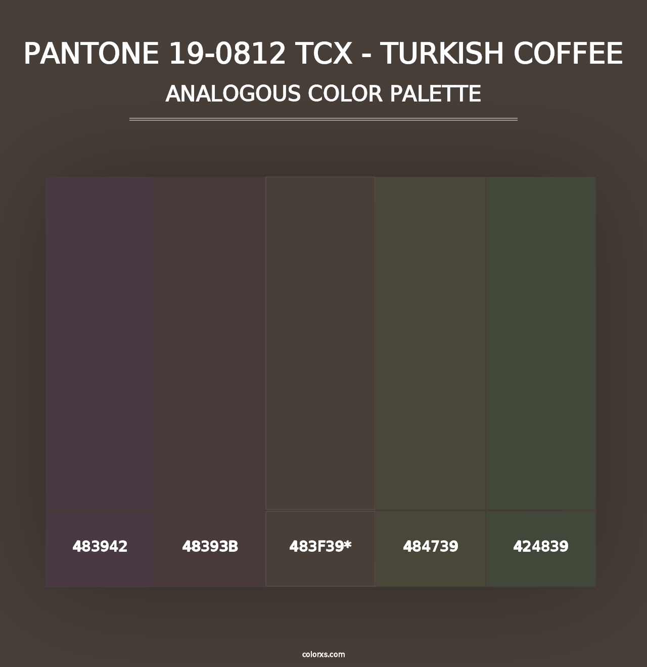 PANTONE 19-0812 TCX - Turkish Coffee - Analogous Color Palette