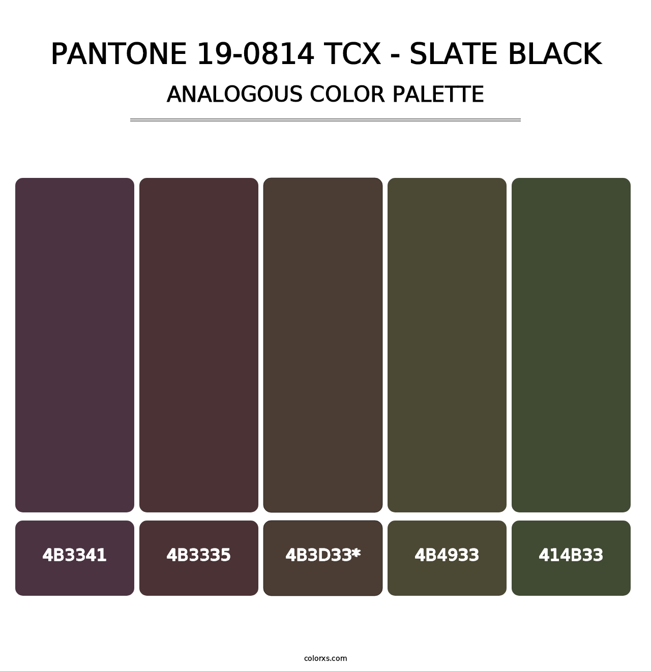 PANTONE 19-0814 TCX - Slate Black - Analogous Color Palette