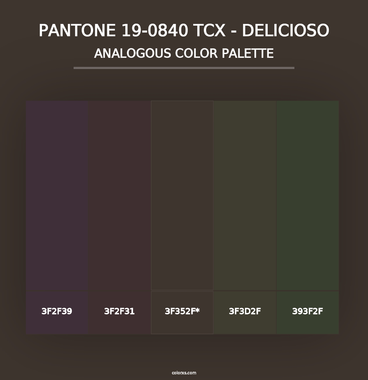 PANTONE 19-0840 TCX - Delicioso - Analogous Color Palette