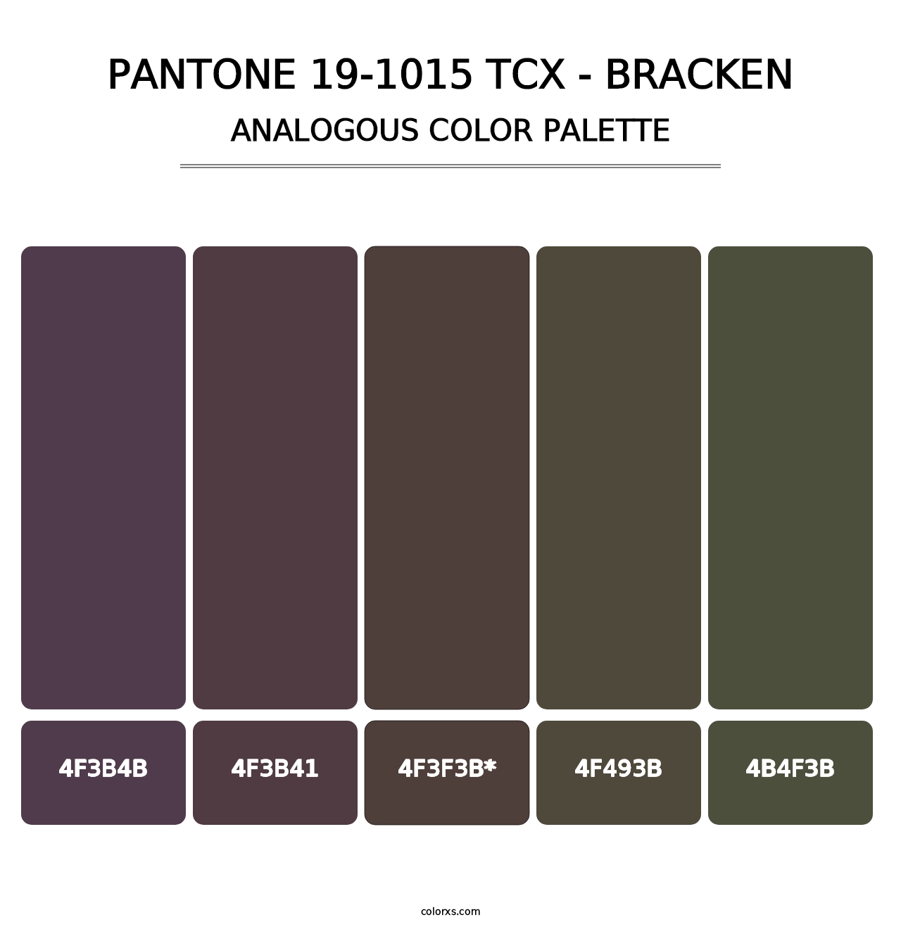 PANTONE 19-1015 TCX - Bracken - Analogous Color Palette