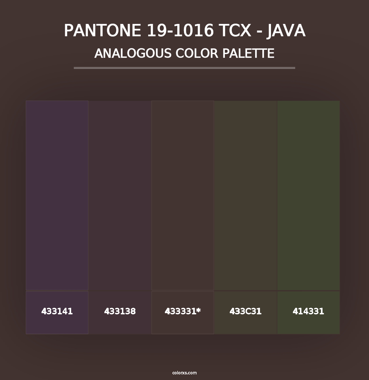 PANTONE 19-1016 TCX - Java - Analogous Color Palette