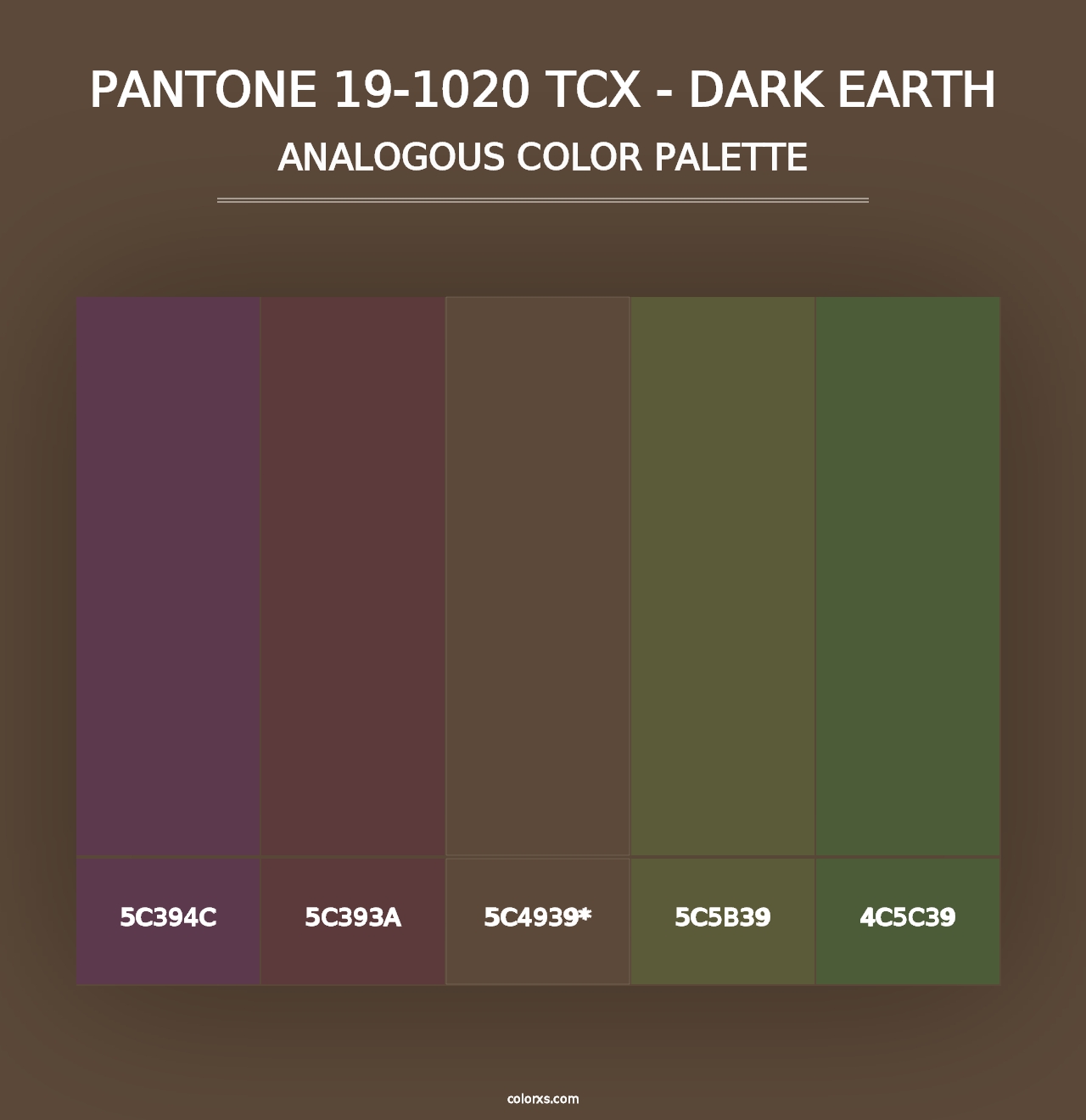 PANTONE 19-1020 TCX - Dark Earth - Analogous Color Palette